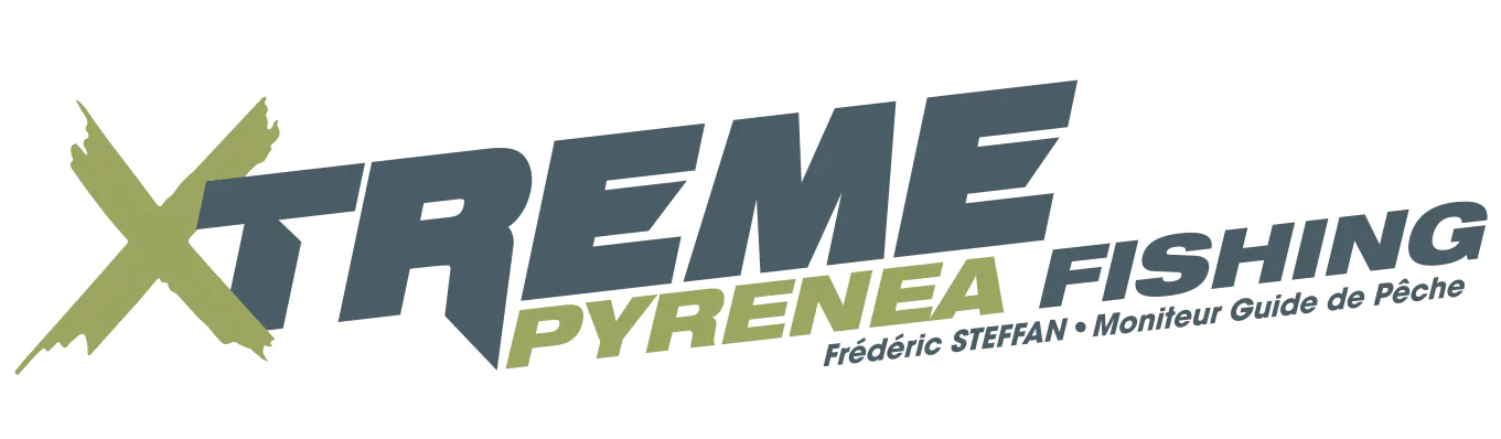 logo moniteur guide de peche truite mouche nymphe seche toc leurre dans les pyrenees atlantiques 64 gave oloron navarenx gave du saison tardets les nives saint jean pied de port hautes pyrenees 65 gave de pau argeles gazost lourdes saint lary arreau luz saint sauveur cauterets