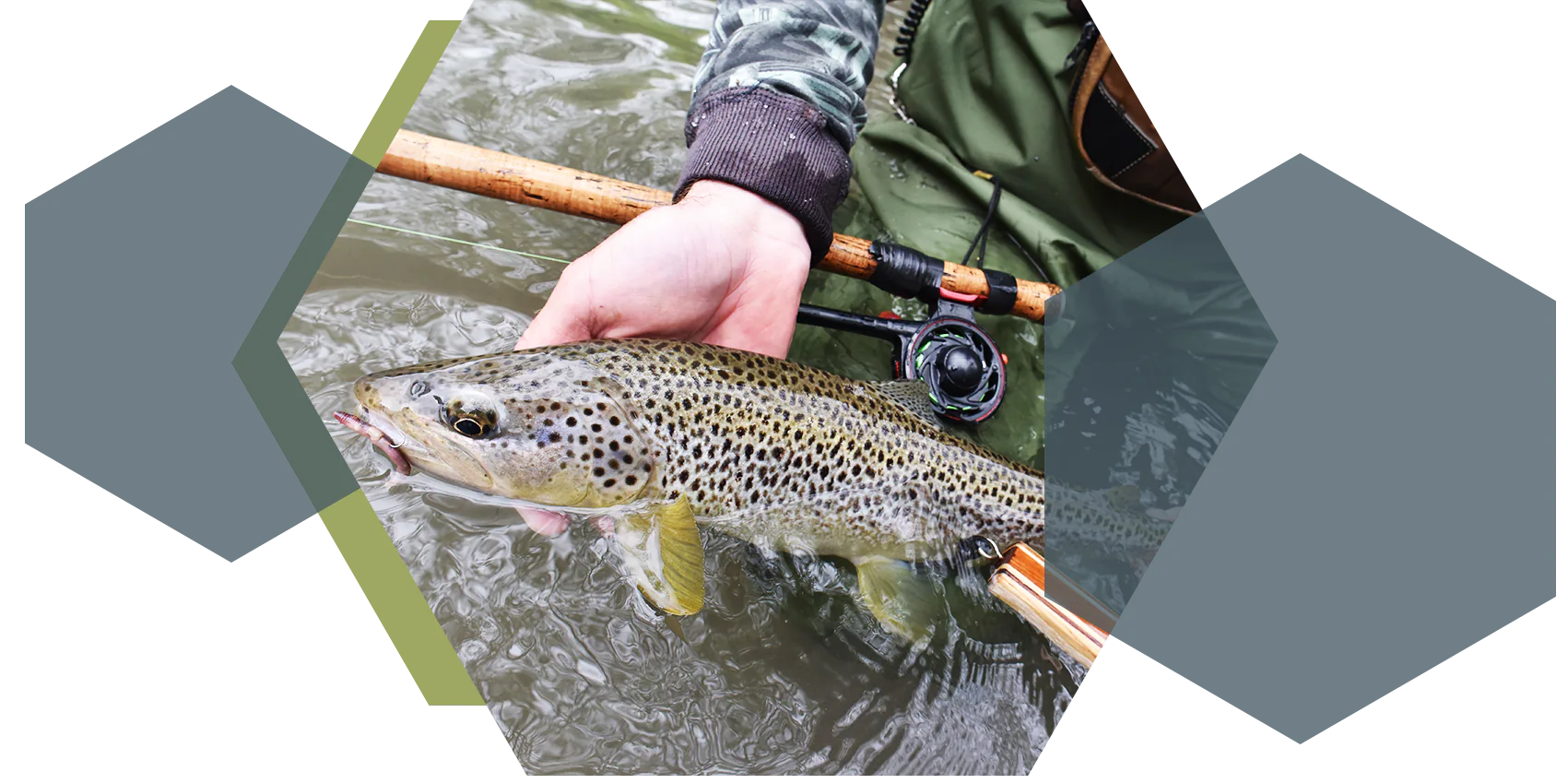 xtreme pyrenea fishing stage guidega peche truite mouche seche pyrenees atlantiques 64 gave oloron navarenx gave du saison tardets les nives saint jean pied de port hautes pyrenees 65 gave de pau argeles gazost lourdes saint lary arreau luz saint sauveur cauterets