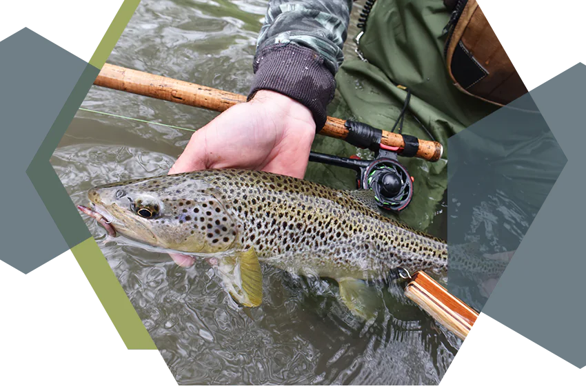 xtreme pyrenea fishing stage guidage peche truite toc appats naturels seche pyrenees 64 65